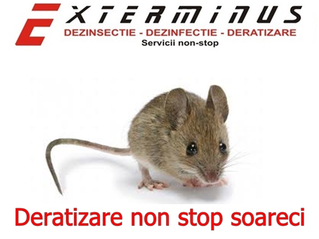 Deratizare non stop, Sector 1 - Bucuresti - imagine 1 - popic.ro