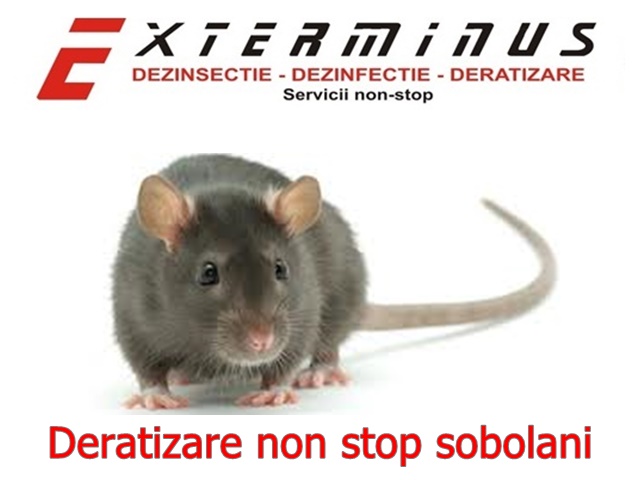 Deratizare non stop, Sector 1 - Bucuresti - imagine 2 - popic.ro