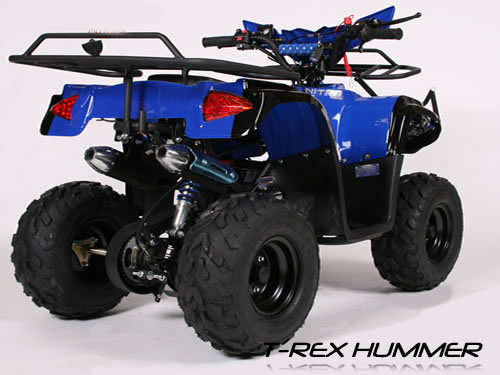 Atv Nitro T-Rex 125 Cc #Automata, Mizil - Prahova - imagine 1 - popic.ro
