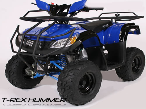 Atv Nitro T-Rex 125 Cc #Automata, Mizil - Prahova - imagine 2 - popic.ro