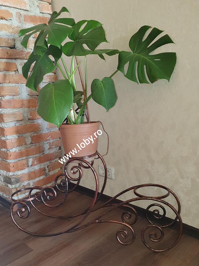 Suport saniuta pentru 3 flori, Sector 6 - Bucuresti - imagine 1 - popic.ro