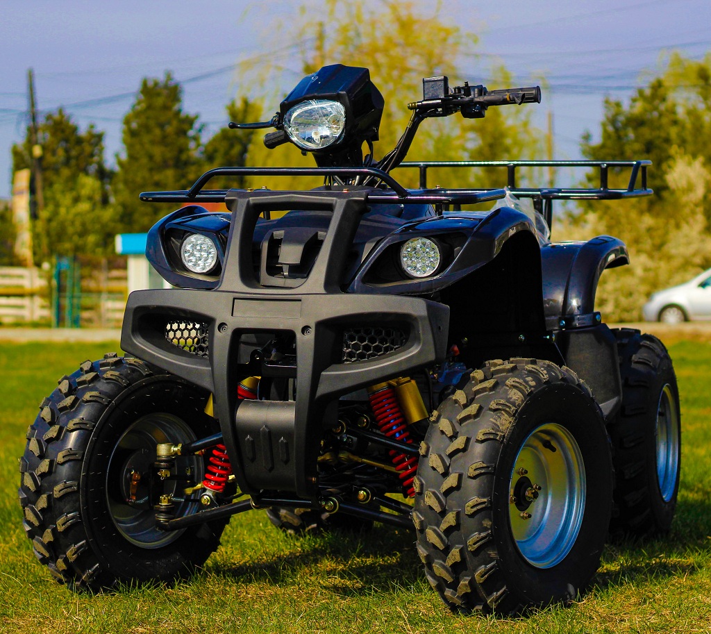 Atv AKP Grizzly M10, Craiova - Dolj - imagine 1 - popic.ro