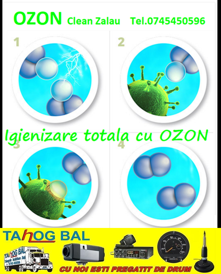 Igienizare autoturisme si locuinte Zalau, Zalău - Salaj - imagine 2 - popic.ro