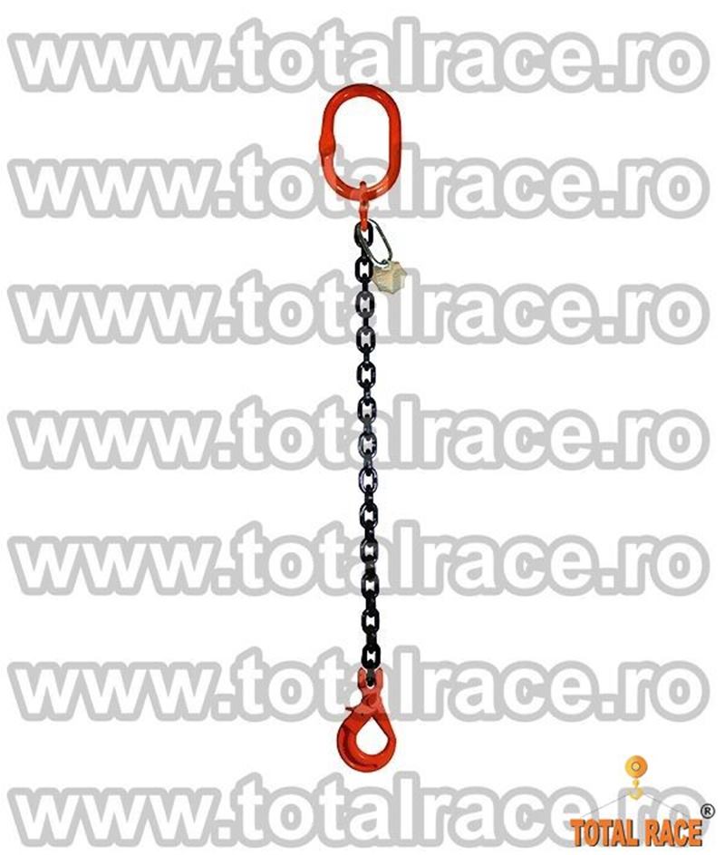 Dispozitive de ridicare din lant cu un brat, Sibiu - Sibiu - imagine 3 - popic.ro