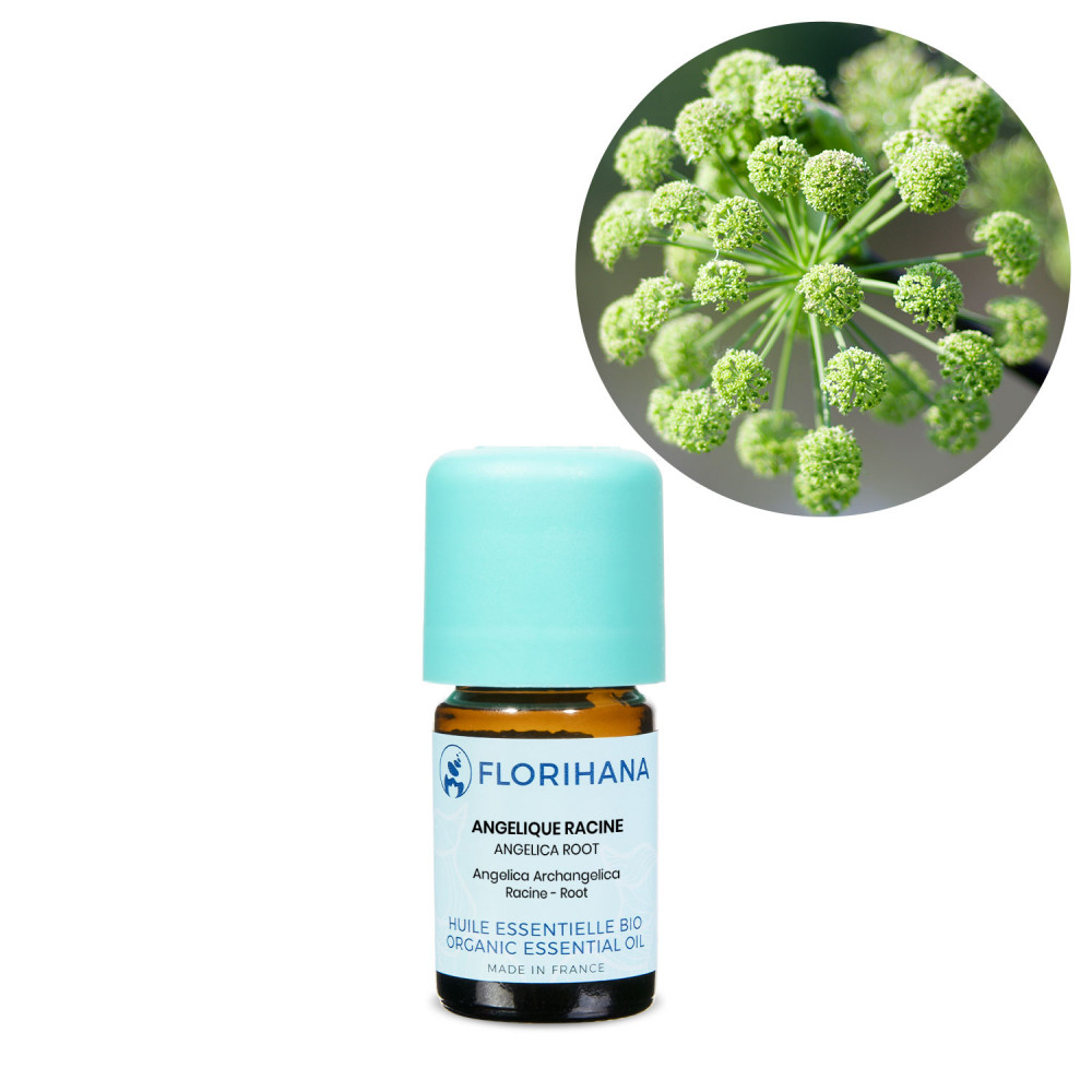 Ulei esential 100% organic din radacina de angelica, aroma naturala✔️, Sector 6 - Bucuresti - imagine 1 - popic.ro