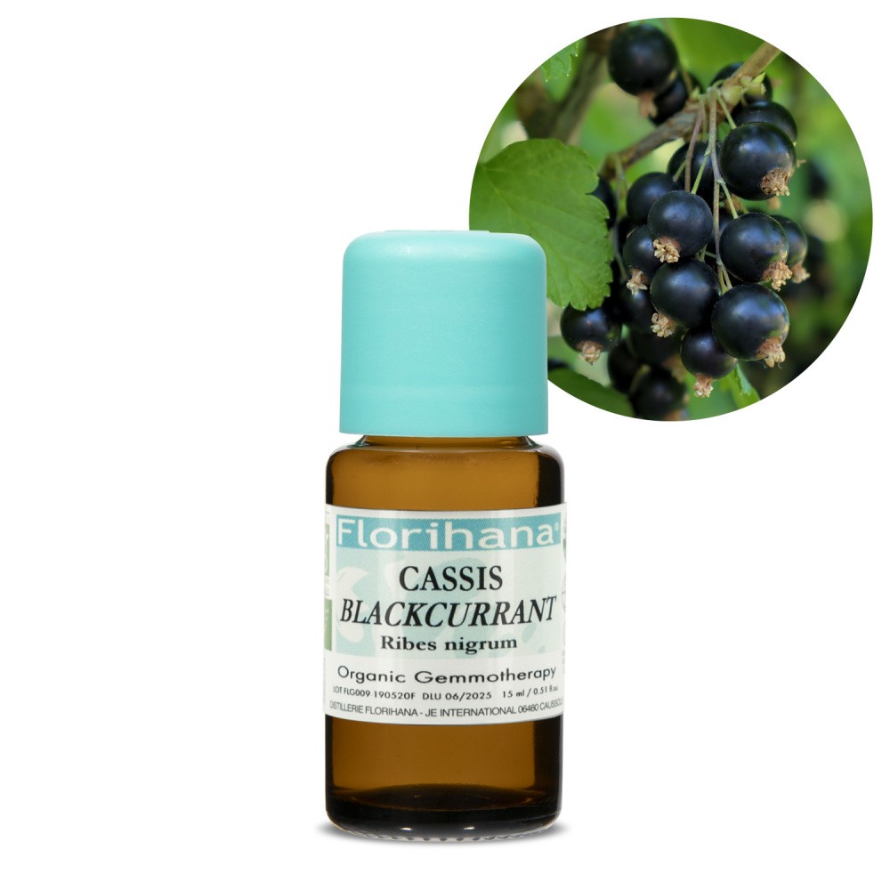Extract de coacăz negru certificat Organic si 100% Natural✔️, Sector 6 - Bucuresti - imagine 1 - popic.ro
