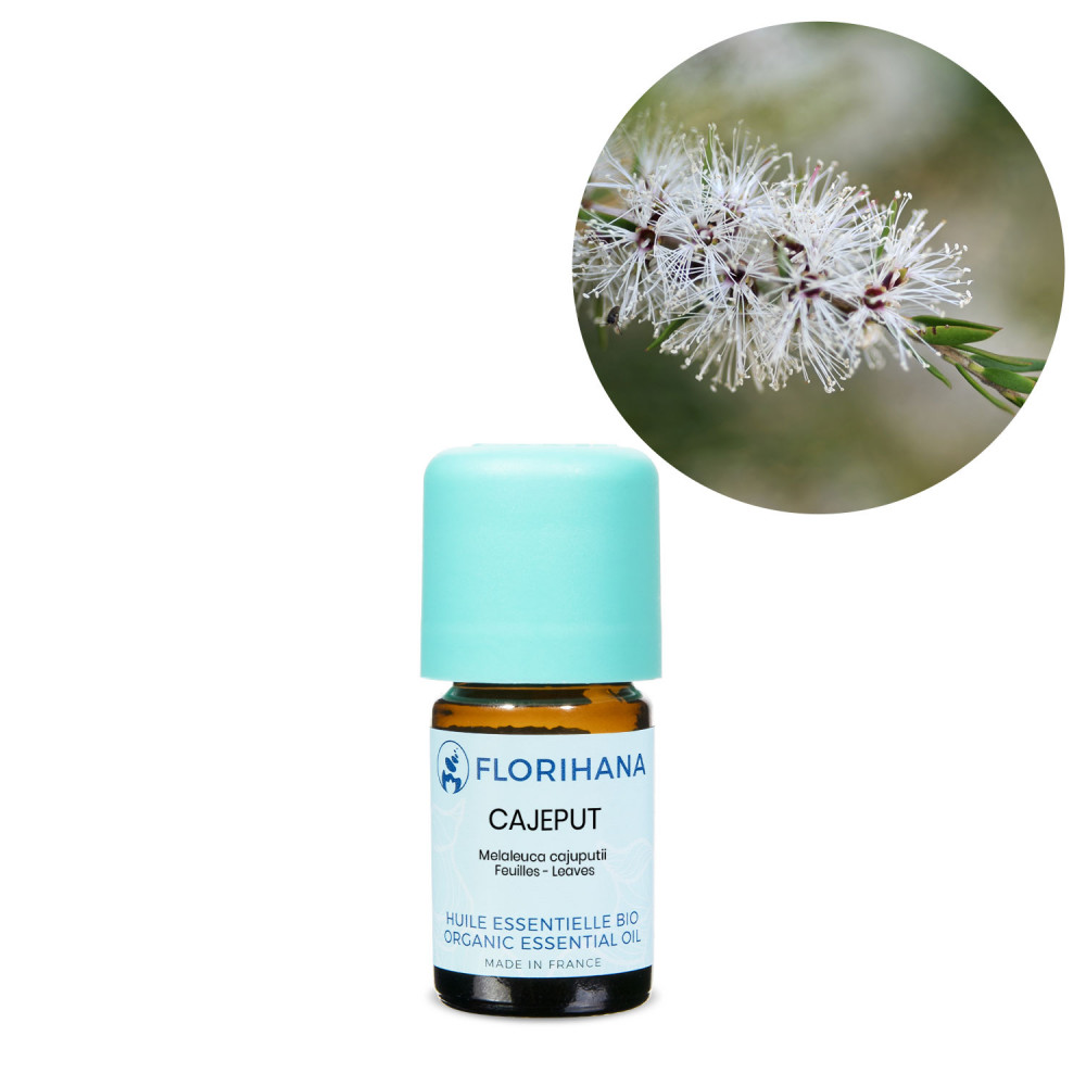 Cajeput - ulei esential certificat organic, 100% pur si natural✔️, Sector 6 - Bucuresti - imagine 1 - popic.ro