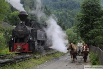 Ofertă 2022 CFF Vișeu de Sus - Mocănița de pe Valea Vaserului, Brașov - Brasov