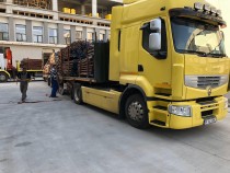 TRANSPORT INTERN SI  INTERNATIONAL, Mogoșoaia - Ilfov